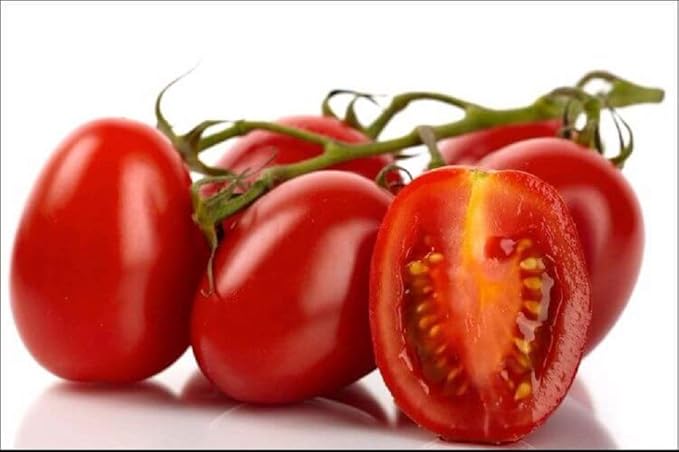 Joyous Jiffy "Tomato" Collection #1 - (2) Round 3x3 Jiffy pots, (2) Soil Peat Pellets, (1) 25+ Roma Tomato Seed Pack and (1) 25+ Yellow Pear Tomato Seed Pack. - Country Creek LLC