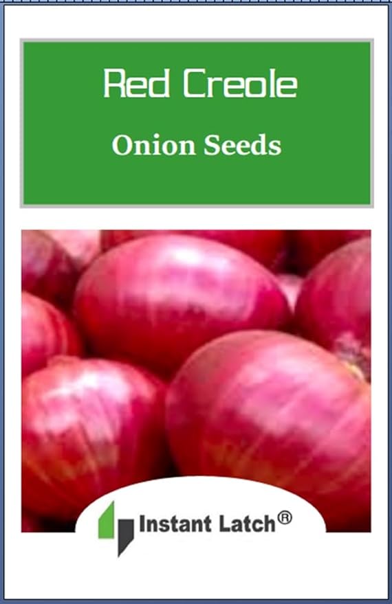 250 Red Creole Onion Seeds for Planting Non GMO Heirloom Seeds Fresh Garden Seed