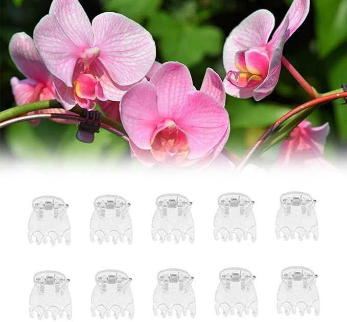 50Pcs Plant Orchid Clips Flowers Support Clear Fixer for Garden Vine Stem Plants Climbing Clasp for Supporting Stems Vines Grow Upright, 6 Claws Orchid Clips Butterfly Plant Support Structures