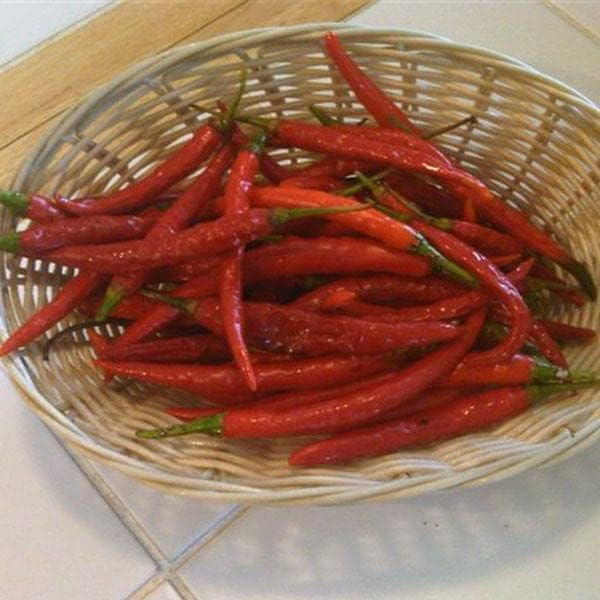 Pepper Joe’s Kung Pao Pepper Seeds ­­­­­– Pack of 10+ Mild Hot Chili Pepper Seeds – USA Grown ­– Premium Non-GMO Kung Pao Seeds for Planting in Your Garden