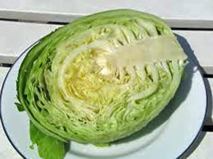 50+ Cabbage- Copenhagen Market Seeds, Heirloom, Non GMO Seed Tasty Healthy Veggie