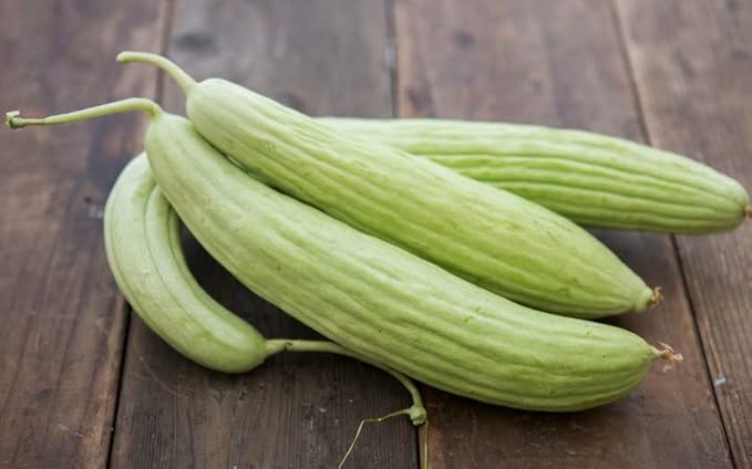 Seeds Armenian Cucumber - Open-Pollinated - Heirloom Vegetable - GMO Free