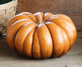 SeedsUP - 10+ Seeds Pumpkin Musquee de Provence - Vegetable Orange