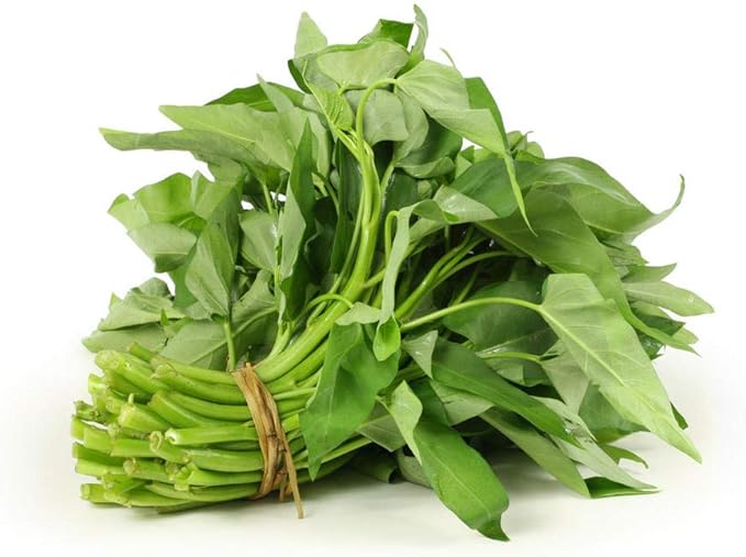 2000 Kangkong Seeds for Planting – Rau Muong Seeds Vietnam Variety – Kong Xin CAI Ong Choy Asian Vegetable for Filipino & Vietnamese Garden Growing