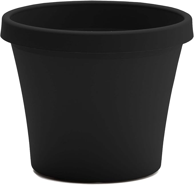 Bloem Terra 6" Diameter Round Black Resin Planter Pot with Drainage Holes for Indoor and Outdoor Gardening