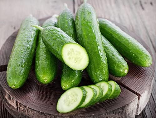 30 Beit Alpha Burpless Sweet Cucumber Seeds, Heirloom Non-GMO, Non-Bitter and Acid Free, Crispy and Delicious, Cucumis sativus, from USA