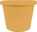 The HC Companies Prima Round Plastic Plant Pot w/Rolled Rim - Lightweight & UV Resistant Flower Pot for Herbs & More - Outdoor & Indoor Plant Pots w/Drainage (8 inch, Honey, Pack of 1)