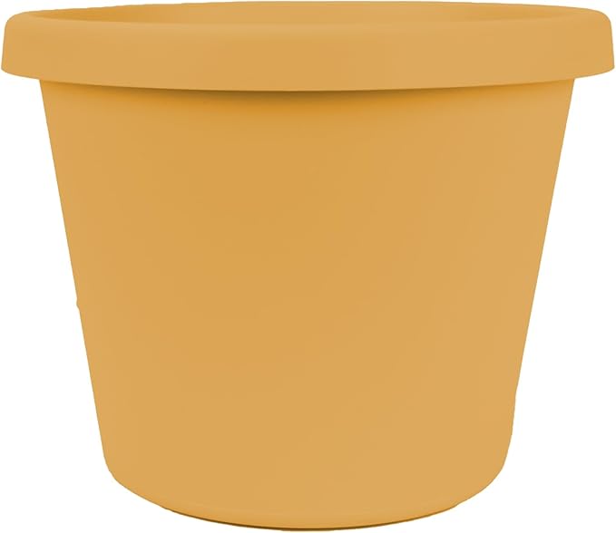 The HC Companies Prima Round Plastic Plant Pot w/Rolled Rim - Lightweight & UV Resistant Flower Pot for Herbs & More - Outdoor & Indoor Plant Pots w/Drainage (8 inch, Honey, Pack of 1)
