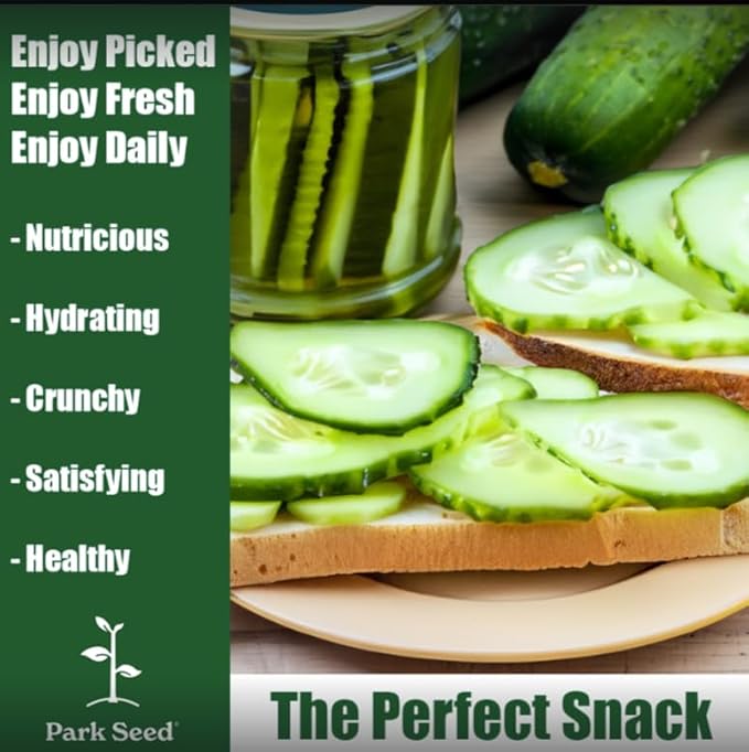 Park Seed Variety of Cucumber Seeds, Planting Cucumbers, Vegetable Seeds, Easy to Grow, Non-GMO, Perfect for Harvesting, F1 Garden Bush Pickle, Pack of 30