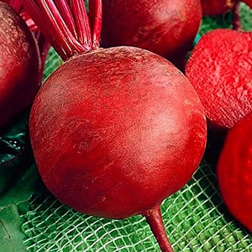 Seeds Vegetable Beet Red Ball Round Beetroot Heirloom for Canning - 100 Seeds