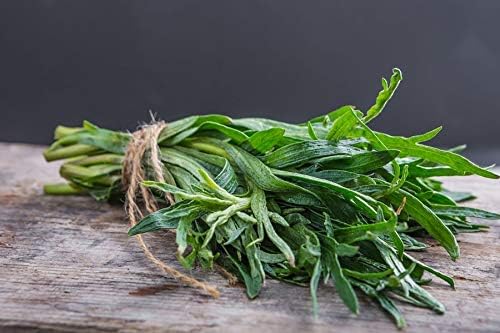 KIRA SEEDS - Seeds French Tarragon Medicinal - Estragon - Heirloom Herbs - GMO Free