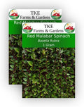 TKE Farms, Red Malabar Seeds for Planting, 1 Gram, Approximately 25+ Seeds, Basella Rubra, Non-GMO, Heirloom, Qty 2