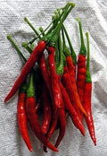 Pepper HOT Chili De Arbol Great Heirloom Vegetable by Seed Kingdom 30 Seeds