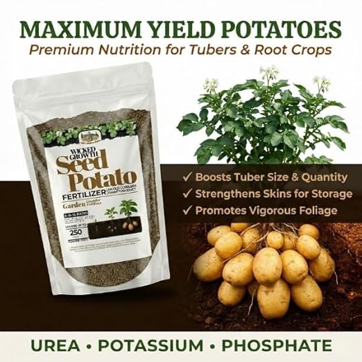 Old Cobblers Farm™ Wicked Growth Seed Potato Fertilizer-Strengthens Roots, Boosts Yields, and Supports Healthy Potato Growth with Eco-Friendly, Slow-Release Nutrients (5/10/15/20 lbs) (10lbs)