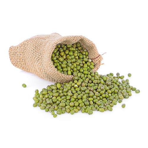 Nature Jims Sprouts Mung Bean Sprouting Seeds – Non-GMO Mung Beans for Growing Nutritious, Fresh Sprouts – Packed with Vitamins, Minerals & Fiber – Premium Resealable Bag for Longer Freshness – 16 Oz