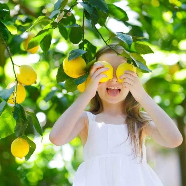 Gardenera's Premium Lemon Tree Soil Mix - Perfect Drainage and Nutrient Retention for Citrus Limon Trees - 1 Quart