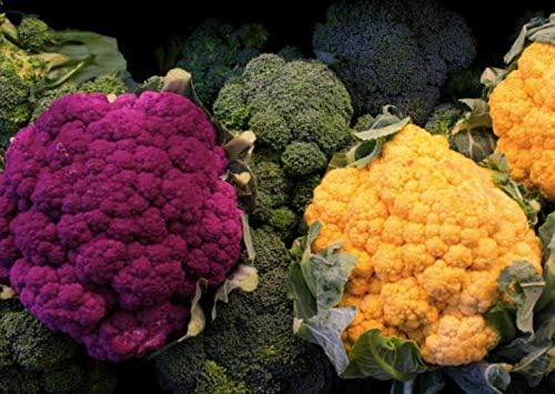 Seeds Vegetable Cauliflower Cabbage Mix - 200 Seeds