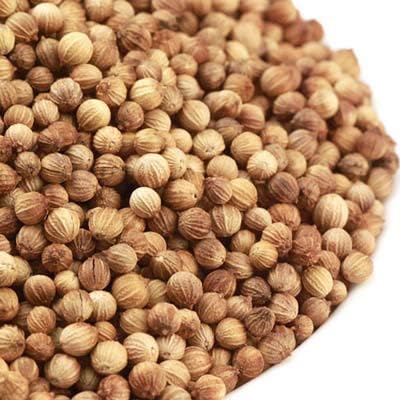 Dirt Goddess Super Seeds Bulk Organic Cilantro (Coriander) Seed NON GMO