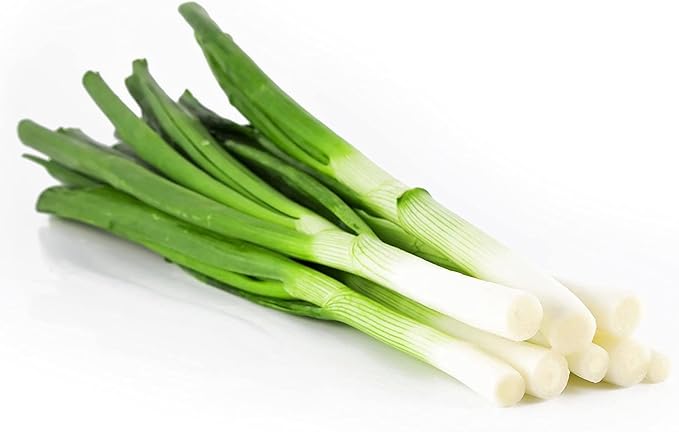 Todd's Seeds Evergreen Bunching Nebuka Onion Heirloom Seed
