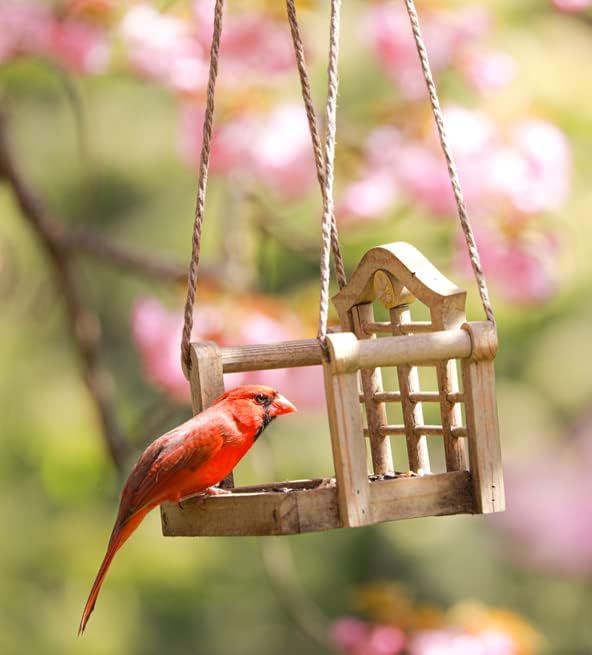 Audubon Park Cardinal Blend Wild Bird Food, Cardinal Bird Seed for Outside Feeders, 4-Pound Bag (Pack of 2)