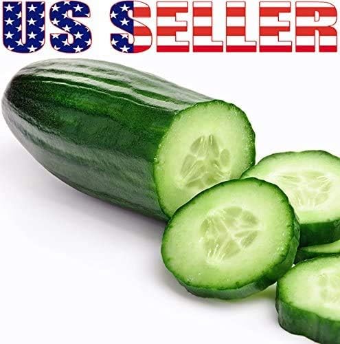 100 Cucumber Mix Seeds 12 Varieties Non-GMO Delicious and Crispy, Rare and Super Prolific, Cucumis sativus, Grown in USA
