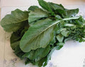 3000 Seven TOP Turnip for Leaf Greens & Sprouts Brassica Rapa Vegetable Seeds