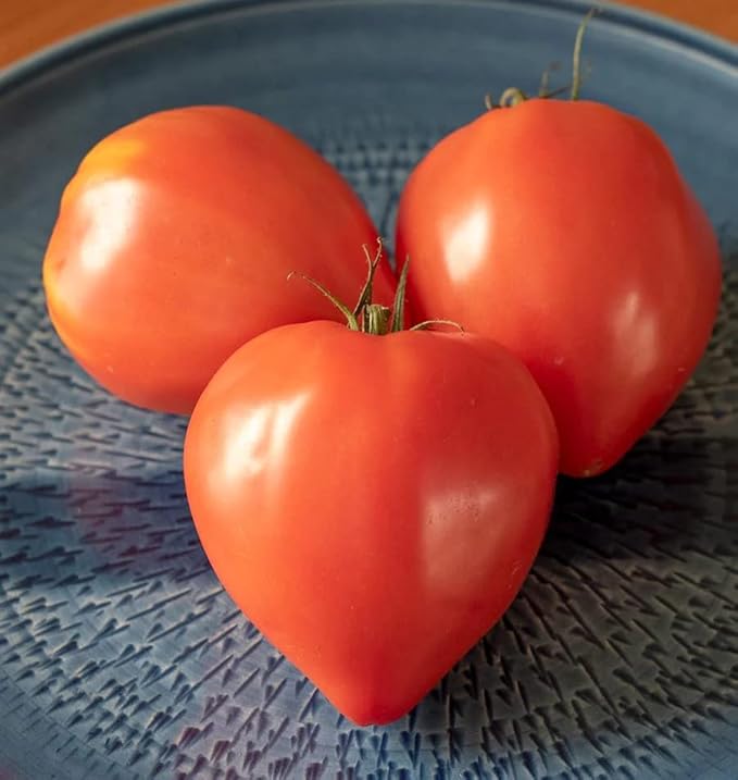 RAISE ME UP: Seeds Red Bull's Heart Tomato Indeterminate Non GMO Heirloom