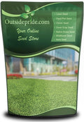 Outsidepride Rescape Seashore Paspalum Turf Grass Seed - 2 lbs. Warm Season, Salt & Drought Tolerant Dense Lawn Grass Seed, Perfect for Erosion Control, High Traffic Fields, Beaches, & Coastal Areas