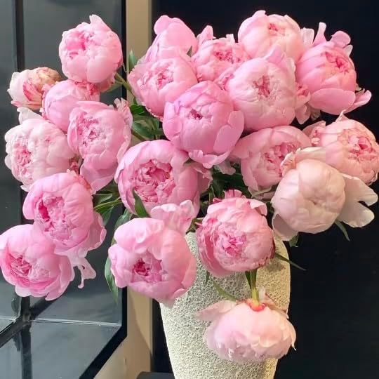100pcs Peony Lactiflora Seeds for Cut Flower Farming - Long Stem Variety, Commercial-Grade Blooms, High Yield Perennial for Florist Supply