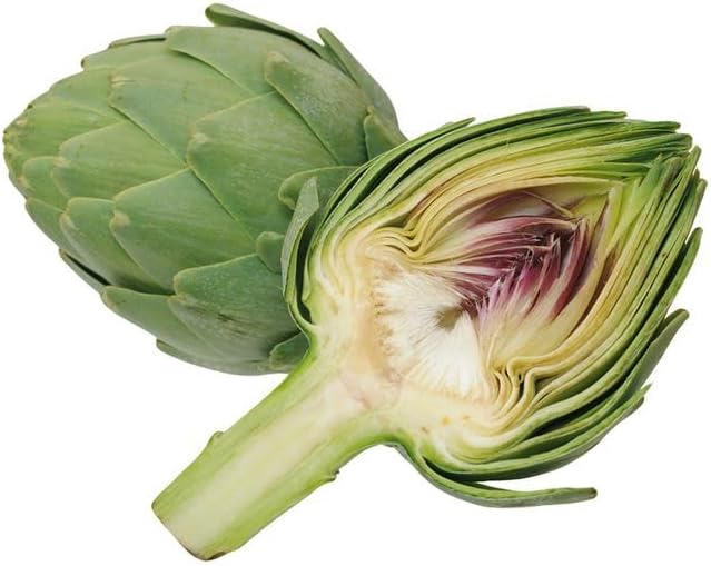 SeedsUP - 20+ Seeds Globe Artichoke Imerial Star - Vegetable Green