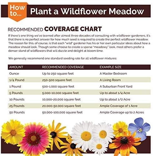 Non GMO Bulk Midwest Wildflower Seed Mix 25 Species of Wildflower Seeds (1/4 Lb)