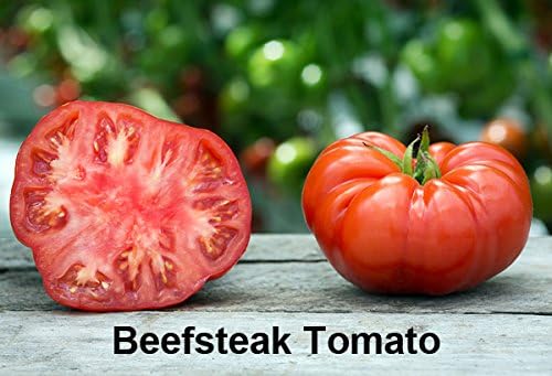 Mixed Seeds 30 Giant Tomato Seeds, Mix of 19 Varieties, Heirloom Non-GMO, Brandywine Black, Red, Yellow and Pink, Mr. Stripey, Old German, Black Krim, from USA Solanum lycoperscium