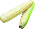 Park Seed Variety of Corn Seeds, Non-GMO Vegetable Seeds for Planting, Easy to Grow, Perfect for Harvesting, Silver Queen Hybrid, Pack of 200