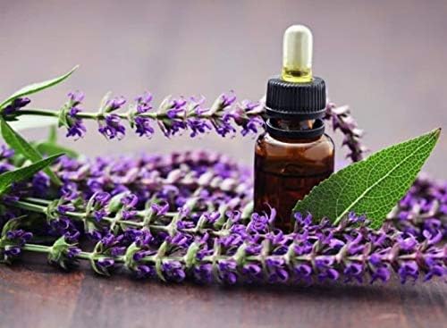 Seeds4planting - Seeds Clary Sage Medicinal Heirloom Herb Non GMO