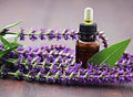 Seeds4planting - Seeds Clary Sage Medicinal Heirloom Herb Non GMO