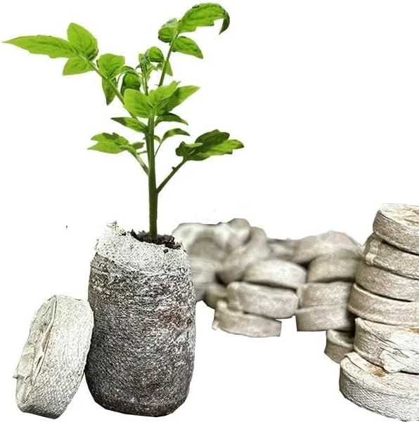 100 Pcs Peat Pellets Seed Starting Plugs Pellets Seedling Soil Block Nursery Soil for Indoors Garden Flowers Seedling Planting Seeds Starter Pellet for Transplanting Planting (50mm)