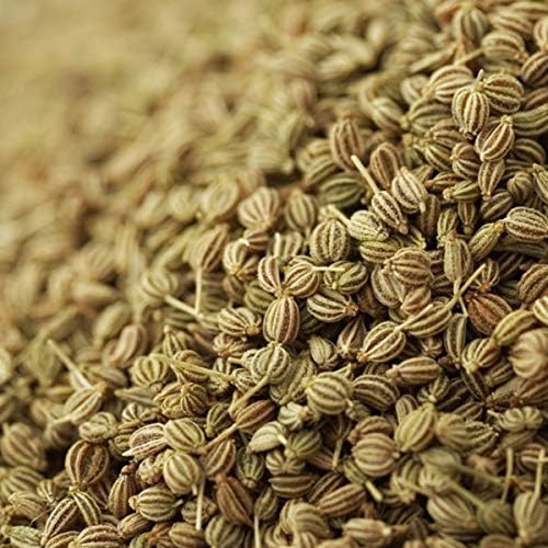 Celery Seed, Utah Tall, 25 Seeds, Heirloom, Non GMO, for Gardening