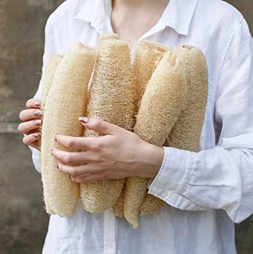 Seeds Dishrag Gourd Smooth Luffa Sponge Rag Outdoor Heirloom Vegetable for Planting Non GMO