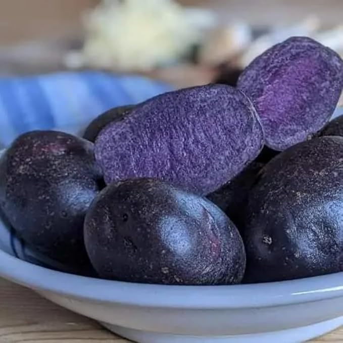 Purple Potato Seeds for Planting Outdoors, 60 Seeds True Potato Seeds Easy for Growing from Seeds