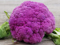 Seeds Vegetable Cauliflower Purple Cabbage - 100 Seeds