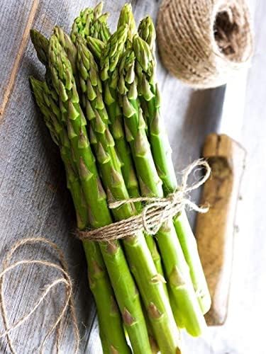 Seeds Green Asparagus Sparrow Grass Heirloom Vegetable for Planting Non GMO
