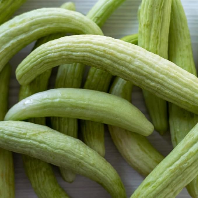 Long Cucumber Seeds, 40 Cucumber Plant Seeds, Cucumber Seeds for Planting Outdoors Indoors, Vegetable Seeds