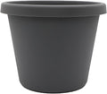 The HC Companies Prima Round Plastic Plant Pot w/Rolled Rim - Lightweight & UV Resistant Flower Pot for Herbs & More - Outdoor & Indoor Plant Pots w/Drainage (8 inch, Warm Gray, Pack of 1)