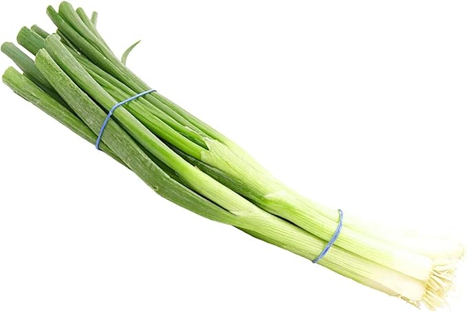 Todd's Seeds Evergreen Bunching Nebuka Onion Heirloom Seed