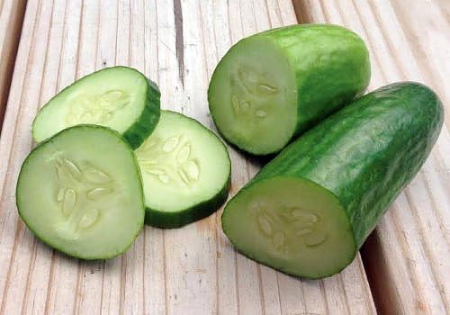 30 Muncher Burpless Sweet Cucumber Seeds, Heirloom Non-GMO, Non-Bitter and Acid Free, Crispy and Sweet, Fragrant and Delicious, Cucumis sativus, Grown in USA