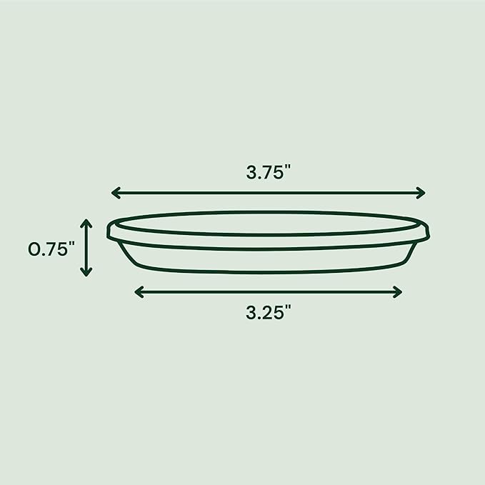 Bloem Terra 4" Diameter Round Black Resin Planter Pot with Pre-Drilled Drainage Holes for Indoor and Outdoor Gardening