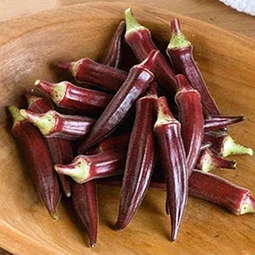 Red Okra Seeds – Abelmoschus Esculentus | Vibrant Red Pods | Heat-Tolerant & Nutritious Vegetable