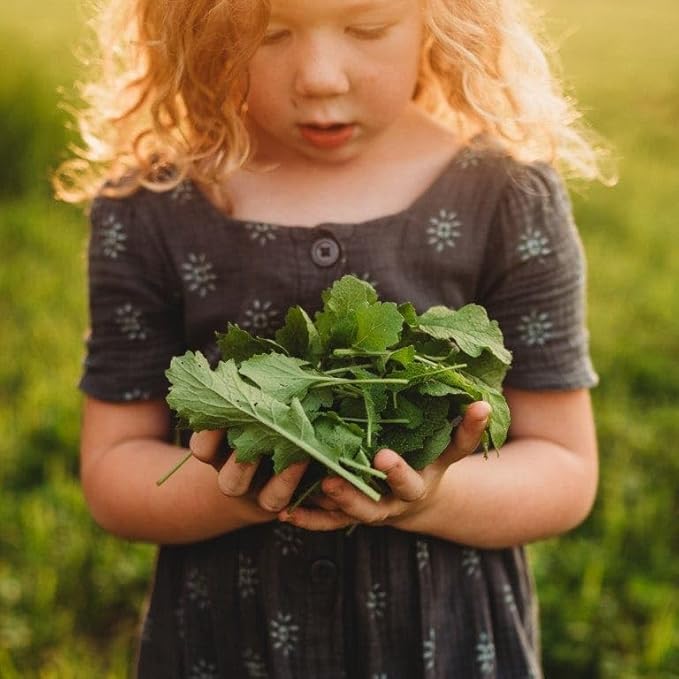 Seven Top Turnip Greens - 250 Seeds - Fast-Growing, Cold Tolerant Green, Great for Braising & Wilting, Non-GMO Heirloom Turnip Seeds for Planting in The Home Garden, Thresh Seed Company