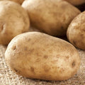 60 Russet Potato Seeds for Growing Outdoors, True Potato Seeds, Heirloom