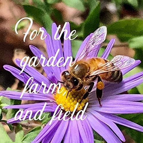 Bulk Wildflower Seeds for Texas and Oklahoma – 1/4 LB (~160,000 Seeds) – Non-GMO Mix of Annuals & Perennials – Native Flowers for Pollinators, Bouquets, Landscaping